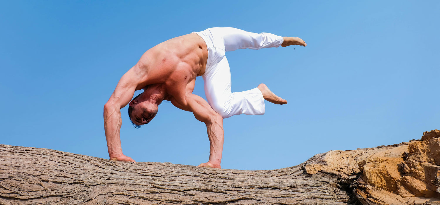 Getreide und Muskelaufbau - Foto von The Lazy Artist Gallery