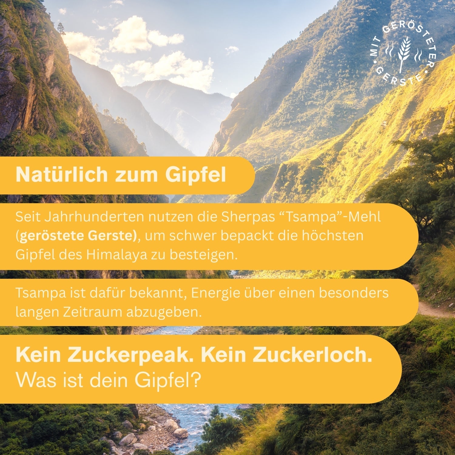 Rainbow Box - 8 Sorten