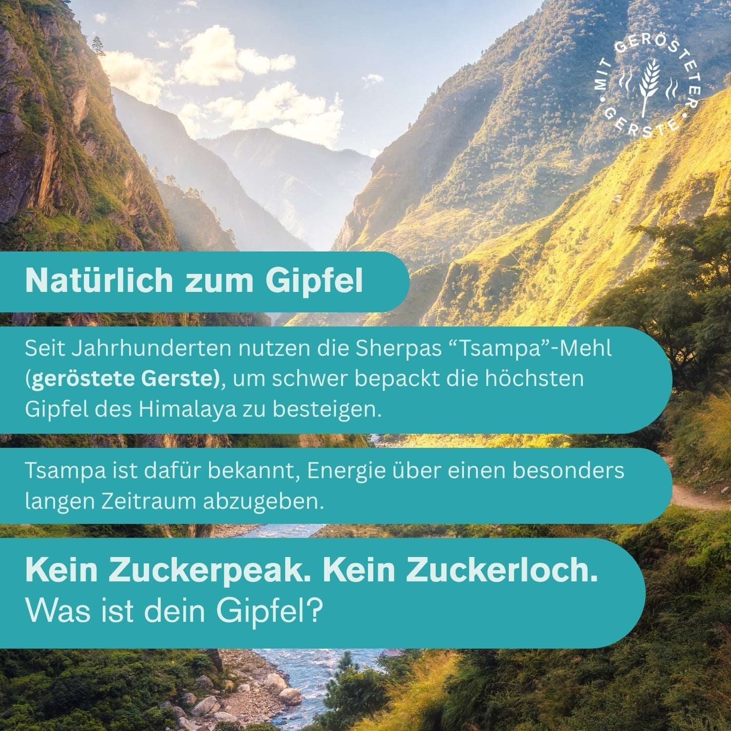 Probierset - Alle Sorten