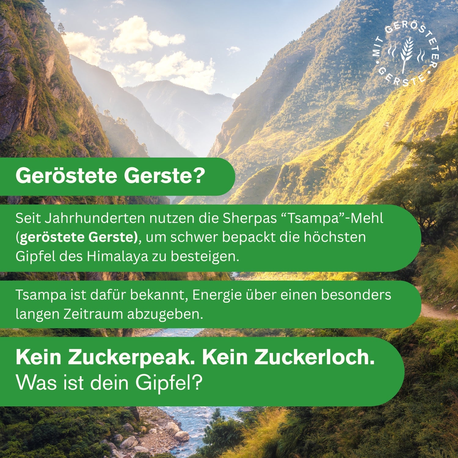 Frühstücksriegel Haselnuss Tonka