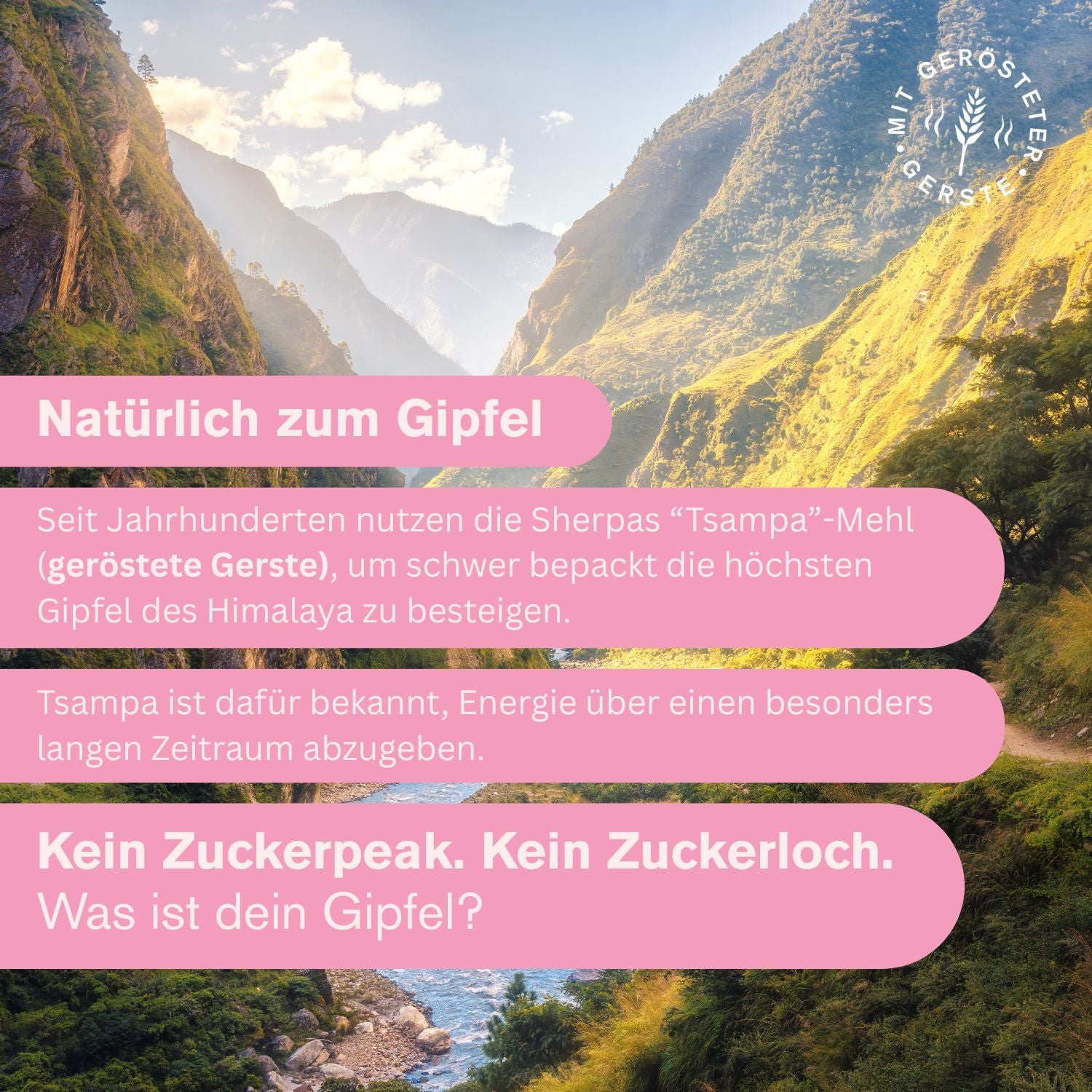 Protein Crunch - Der Starke