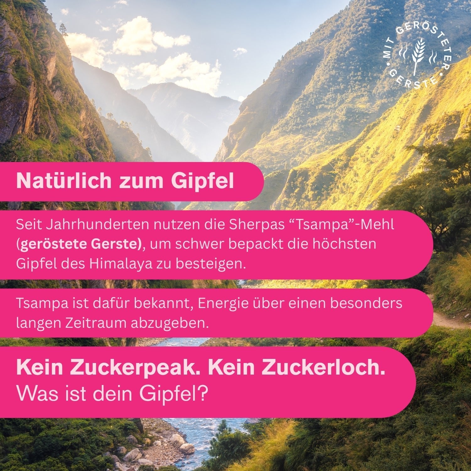 Frühstücksriegel Himbeere Chia