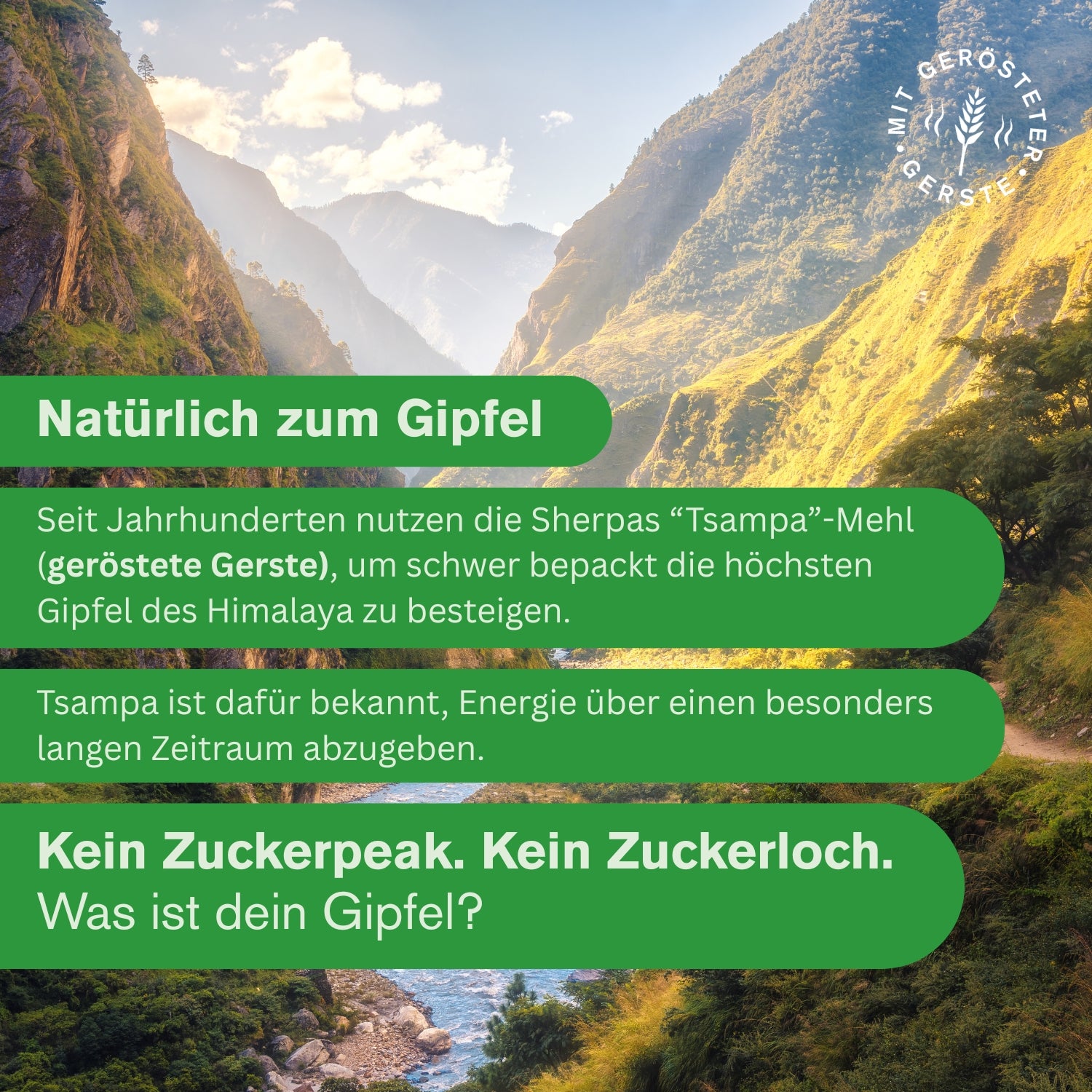 Bowl Protein Apple Spice - Der Aktive