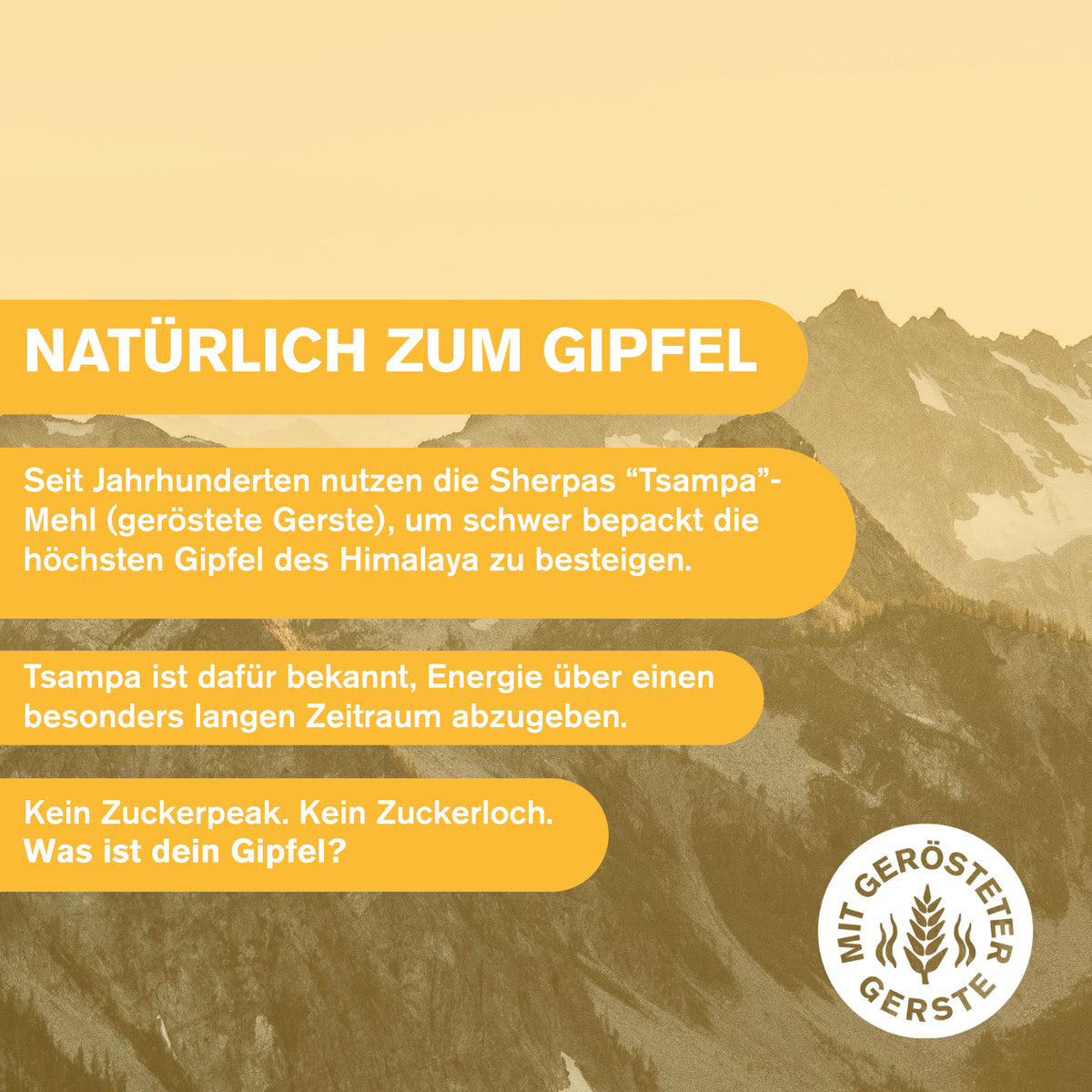 Cacao Nibs - Der Glücksbringer
