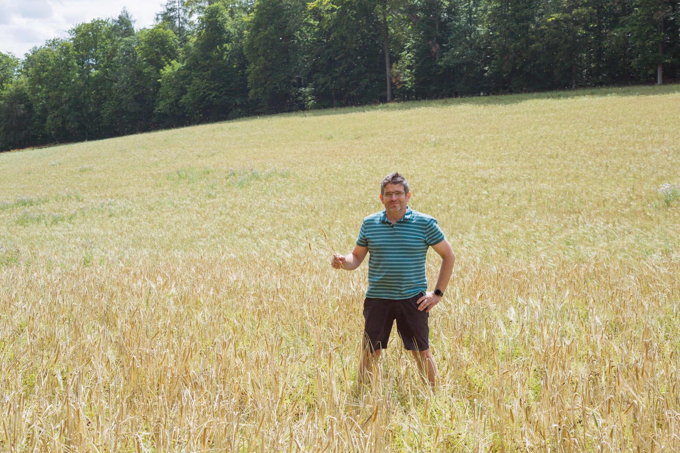 Mann im Gerstenfeld – TZAMPAS Bio-Gerste
