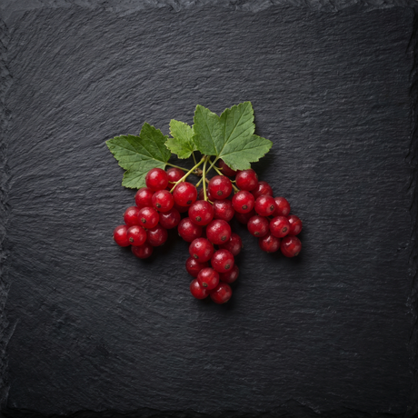 Johannisbeeren