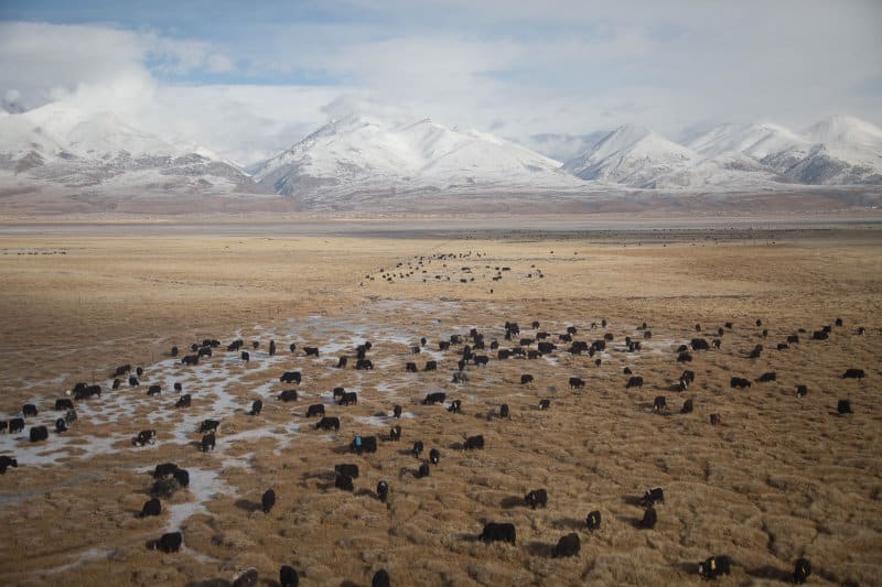 Landschaftsbild in Tibet